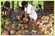  oil traders in  thoothukudi