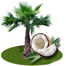 best coconut oil importers in tuticorin