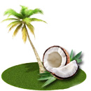 best coconut oil exports in tuticorin